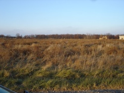 Holiday Farm Lot 9 - Ashland County